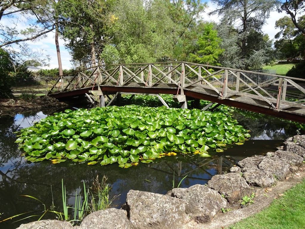 Hamilton Botanic Gardens | park | French St, Hamilton VIC 3300, Australia | 1800807056 OR +61 1800 807 056