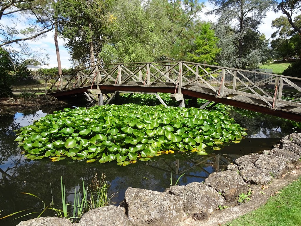 Hamilton Botanic Gardens | French St, Hamilton VIC 3300, Australia | Phone: 1800 807 056