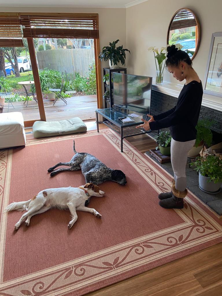 Lidias Dog Training | 26R Naranga Cres, Frankston VIC 3199, Australia | Phone: 0402 522 421