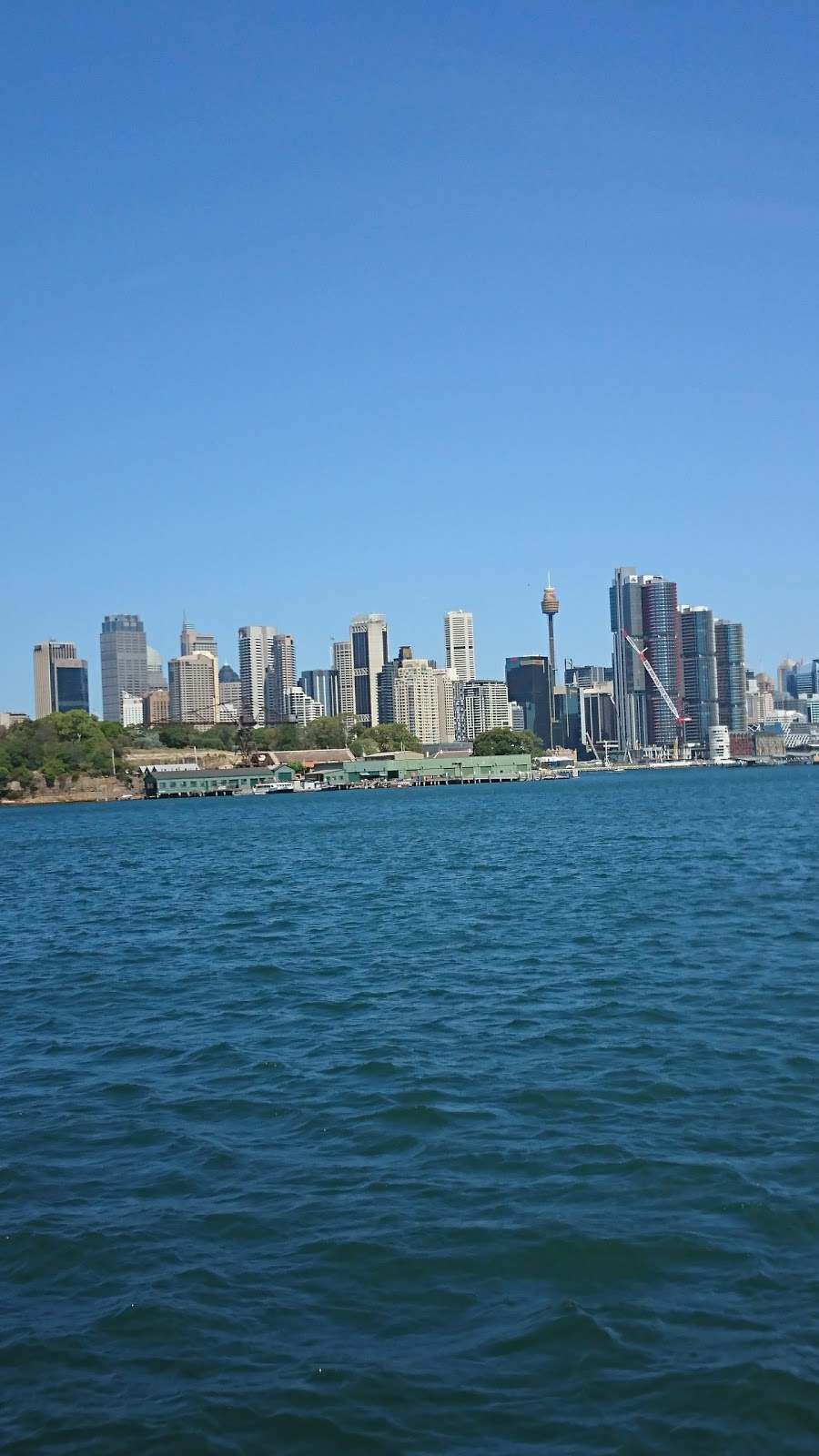 Sydney Harbour Yacht Charter | 1 Balls Head Dr, Waverton NSW 2060, Australia | Phone: (02) 9954 5126
