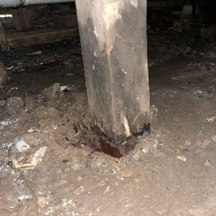 Resicert Property and Pest Inspections - Victoria – Gippsland | 420 Church Rd, Hazelwood North VIC 3840, Australia | Phone: 0418 242 801