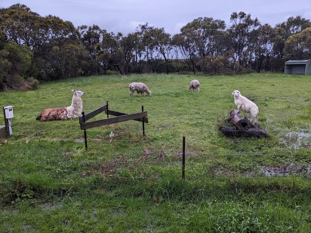 Honeys Retreat | 33 Honeys Rd, Wonthaggi VIC 3995, Australia | Phone: 0492 444 382