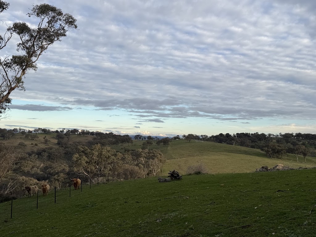 Croftdown | 289 Turondale Rd, Duramana NSW 2795, Australia | Phone: 0427 799 968