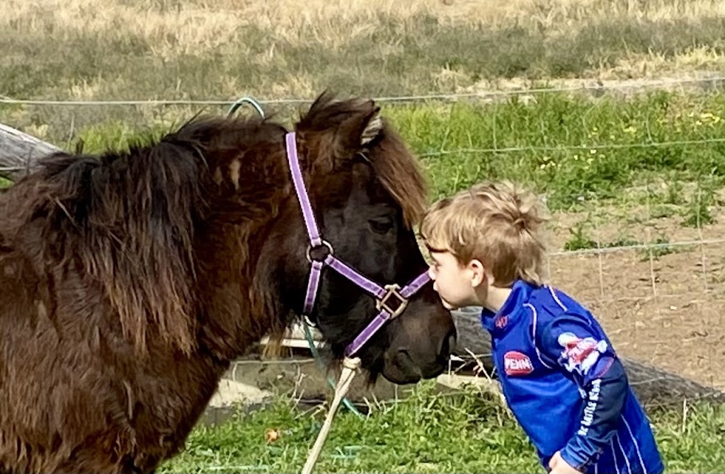 Pindari Equine Assisted Therapy and Counselling | 392 Prenzlau Rd, Prenzlau QLD 4311, Australia | Phone: 0422 140 378