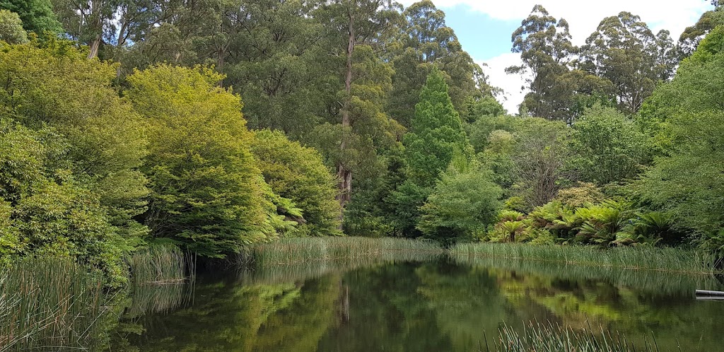 National Rhodedenderon Garden Ornamental Lake | park | Olinda VIC 3788, Australia