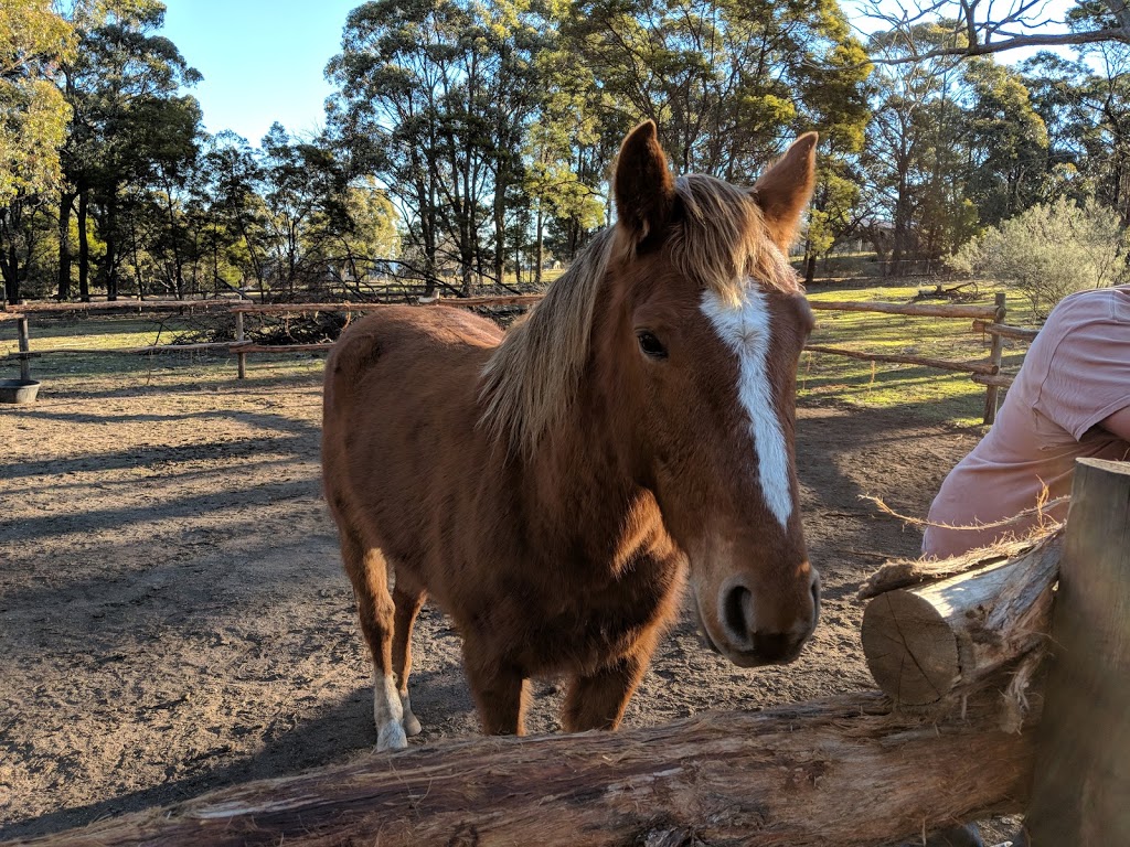 Highland Farm Stays | Tugalong Rd, Bangadilly NSW 2577, Australia | Phone: 0425 208 783