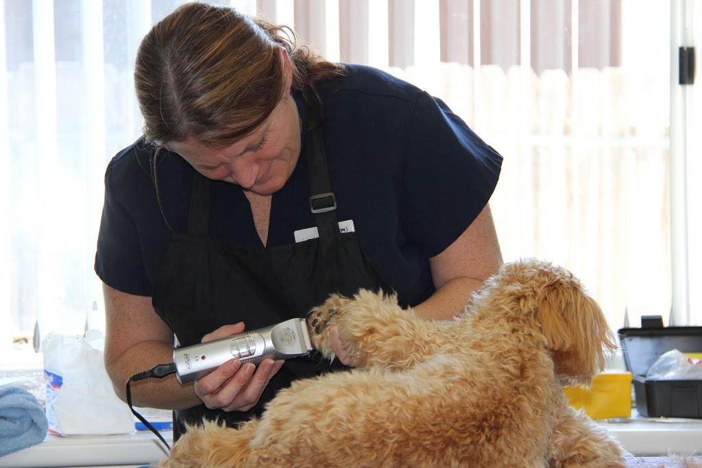 Dungog Veterinary Hospital And 24 Hour Emergency Service | veterinary care | 9 Brown St, Dungog NSW 2420, Australia | 0249921577 OR +61 2 4992 1577
