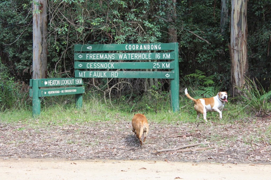 Heaton Picnic Area / Lookout | park | Watagans National Park, Heaton Rd, Cooranbong NSW 2265, Australia