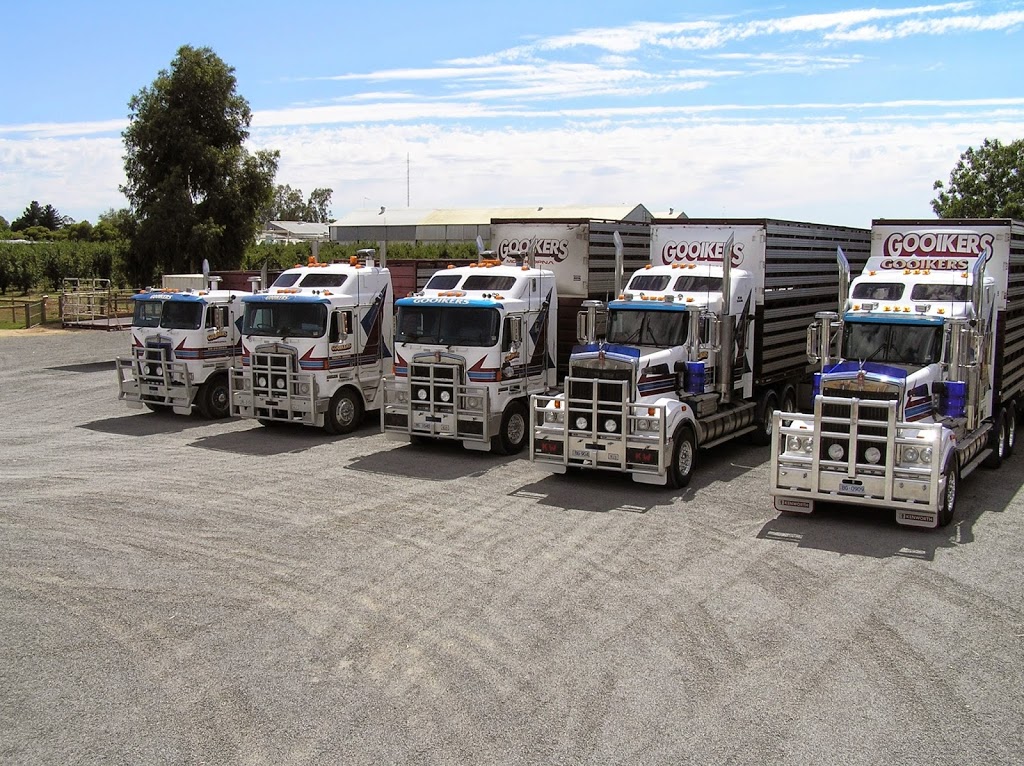 Gooiker Stock Transports PTY Ltd. |  | 6680 Midland Hwy, Ardmona VIC 3629, Australia | 0358253888 OR +61 3 5825 3888