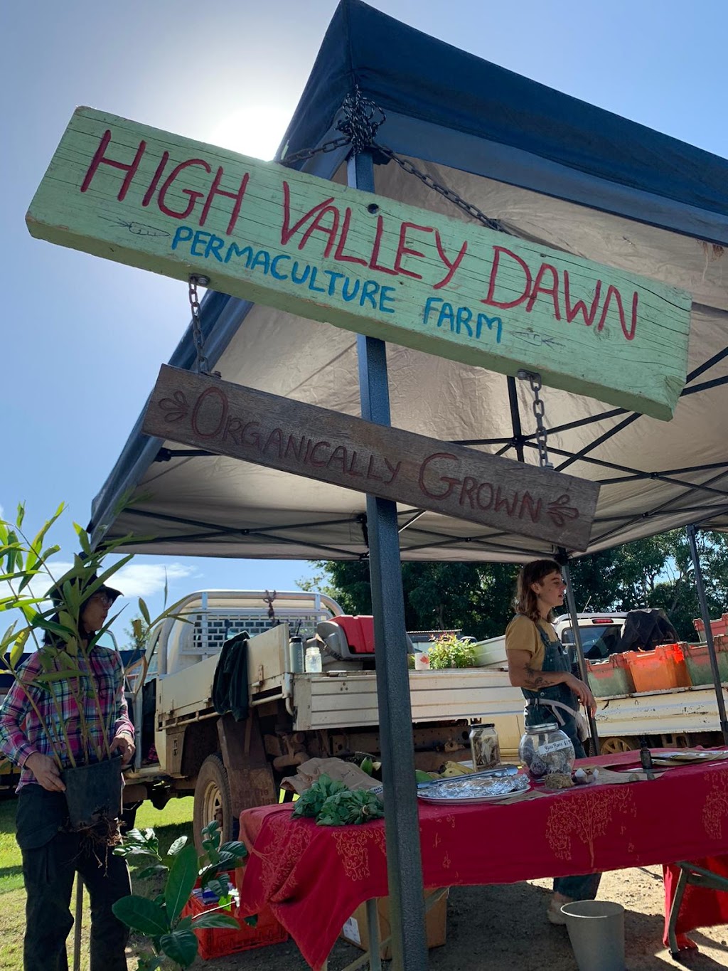 The PermAlchemist | Clayton Rd, Lammermoor QLD 4703, Australia | Phone: 0406 348 132