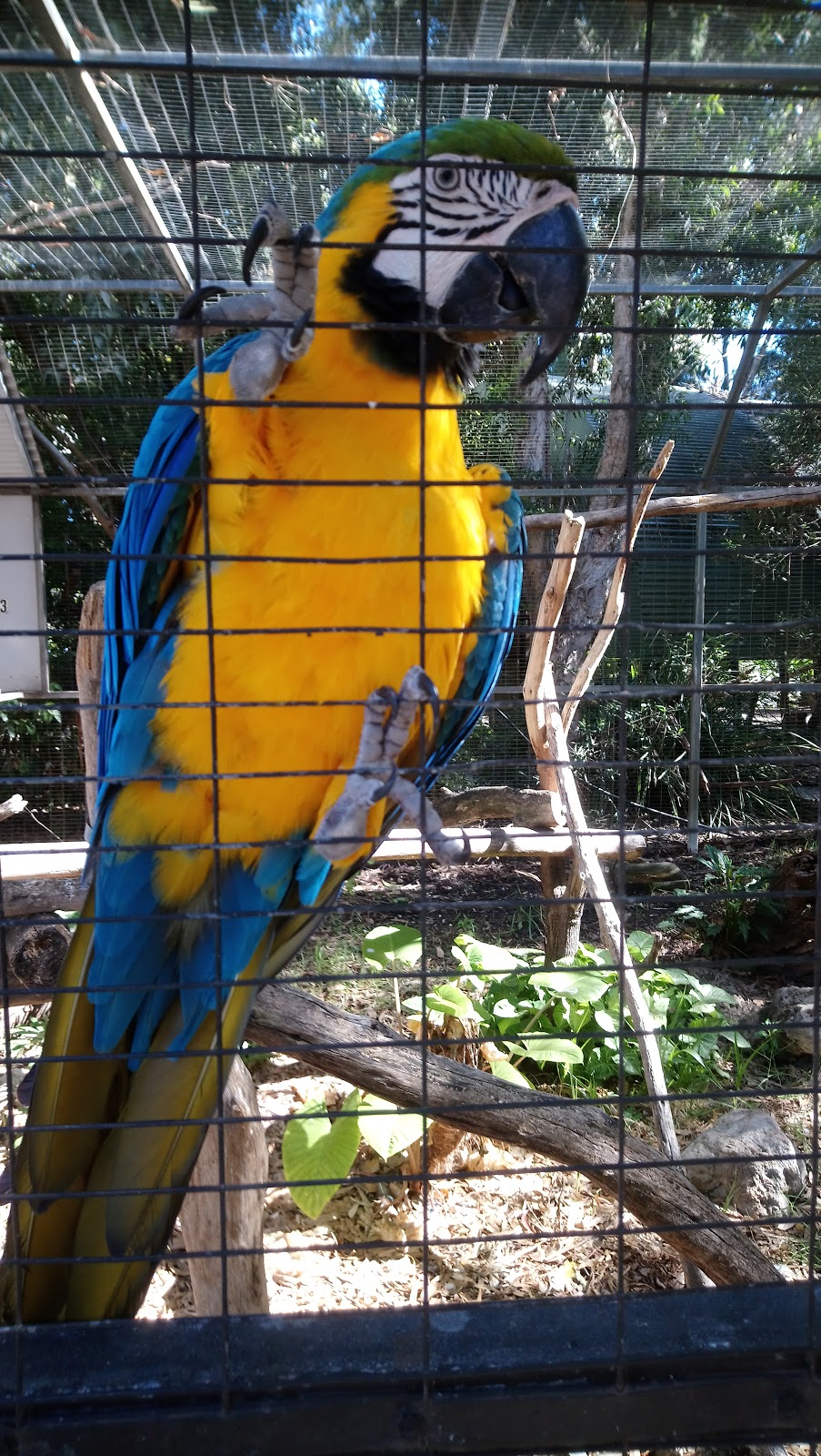 Peel Zoo | Sanctuary Drive, Pinjarra WA 6208, Australia | Phone: (08) 9531 4322