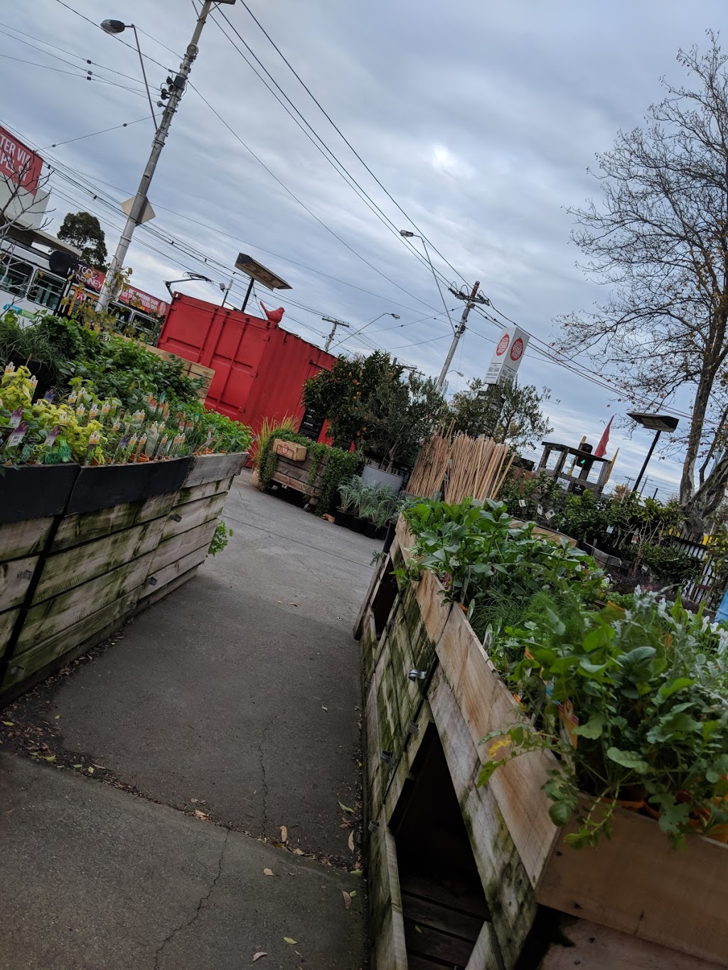 Little Veggie Patch Co | park | 161a Heidelberg Rd, Northcote VIC 3070, Australia | 0422067874 OR +61 422 067 874