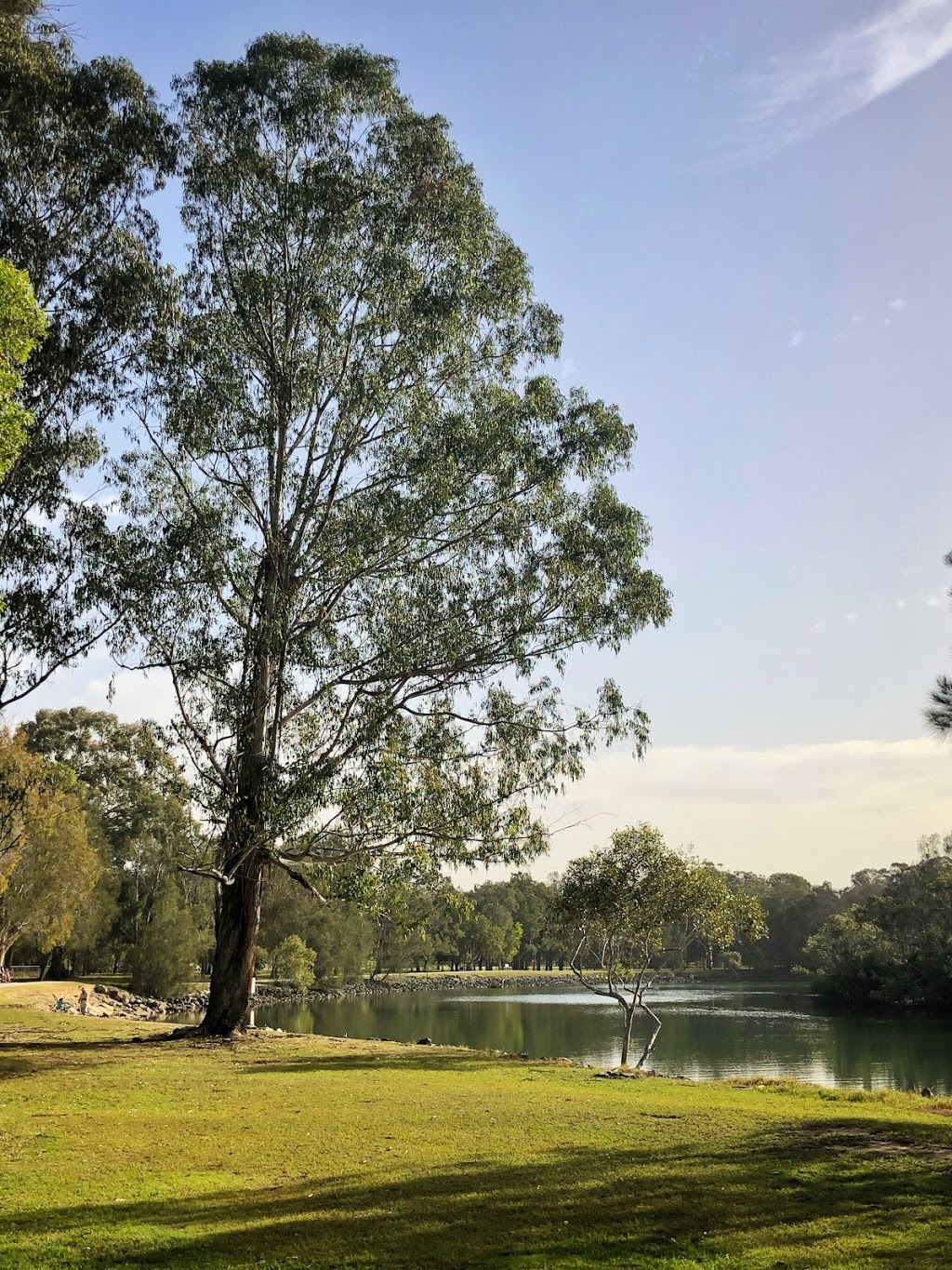 Schuster Park | park | Tallebudgera QLD 4228, Australia