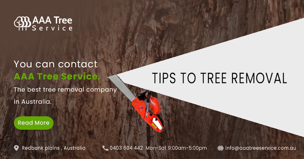 AAA Tree Services | 71A Rosemary St, Bellbird Park QLD 4300, Australia | Phone: 0423 660 030