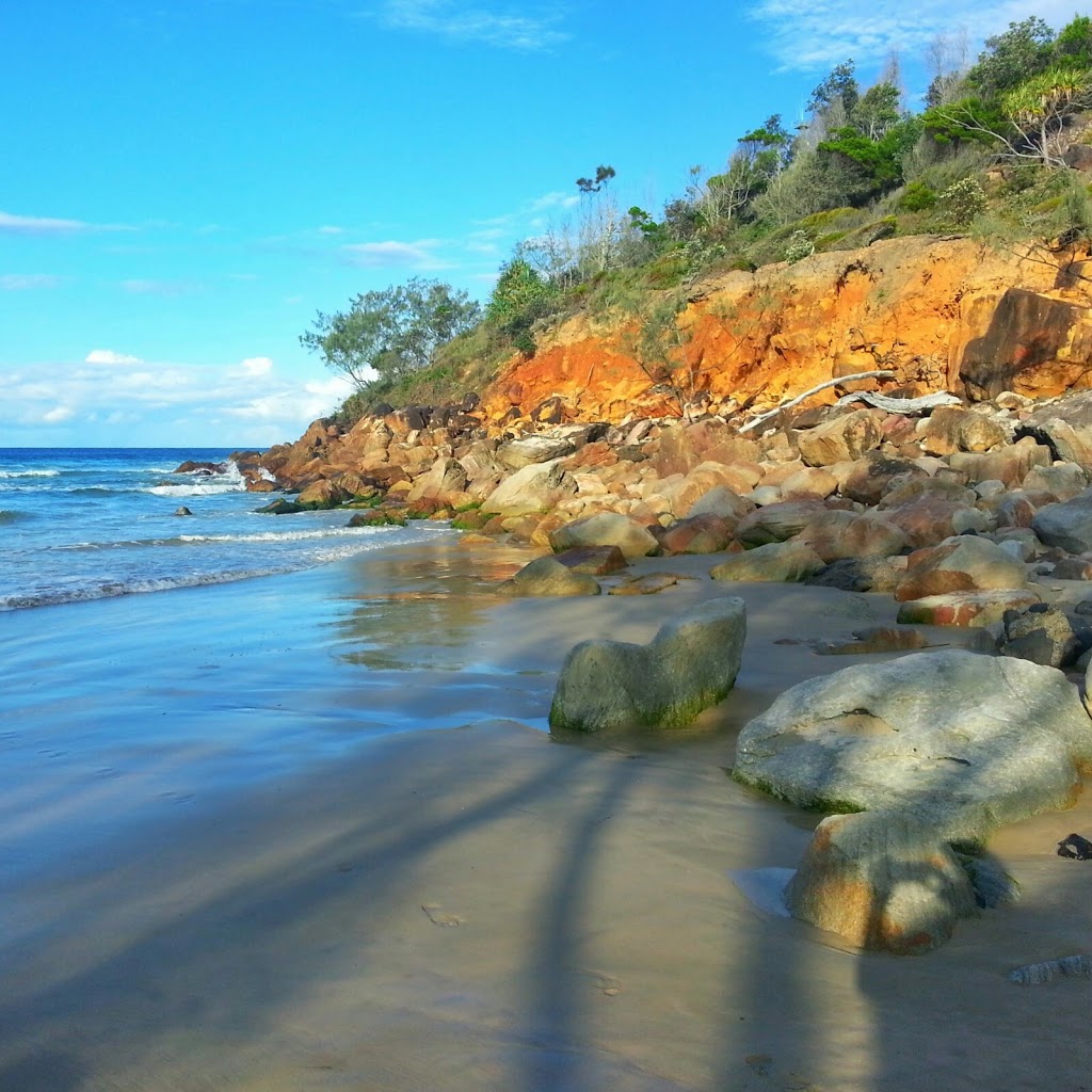 Shark Bay | park | 91 Ocean Dr, Evans Head NSW 2473, Australia