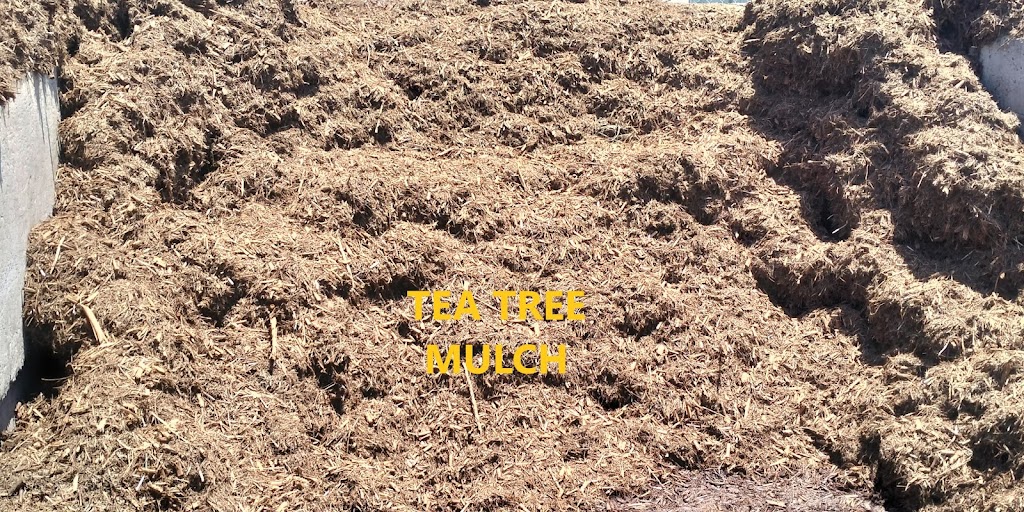 Little Loads Kyogle | 111/117 Anzac Dr, Geneva NSW 2474, Australia | Phone: 0493 541 358