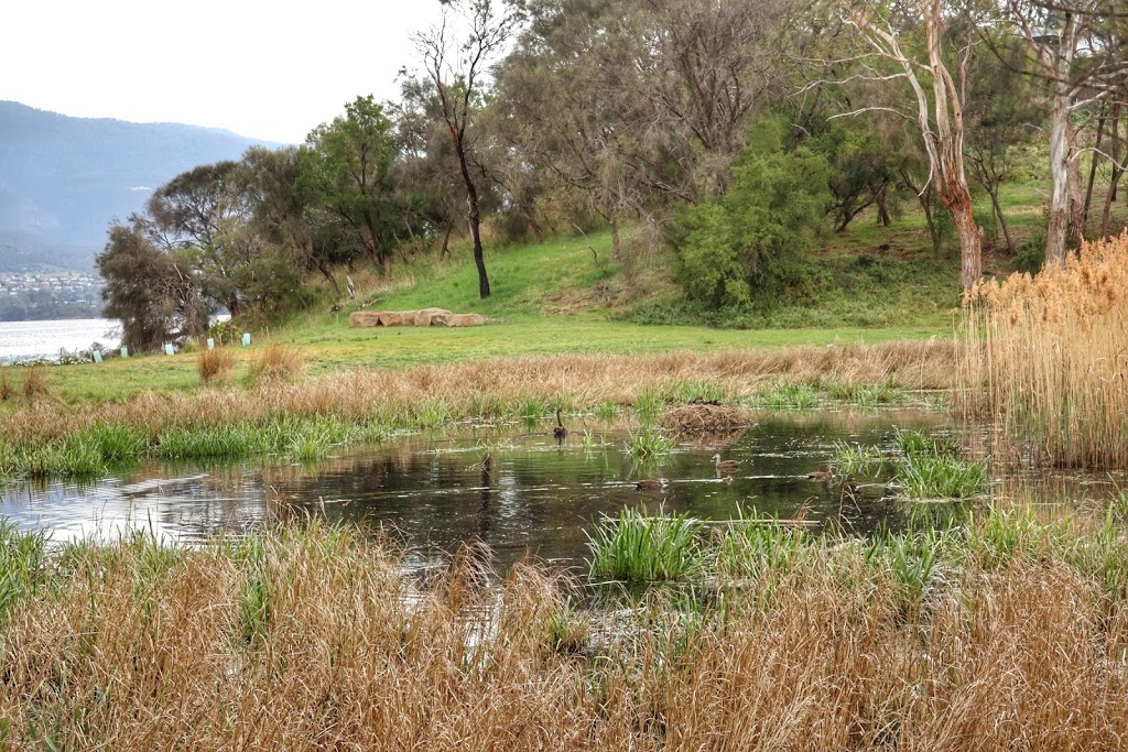 Otago Lagoon Reserve | Otago TAS 7017, Australia