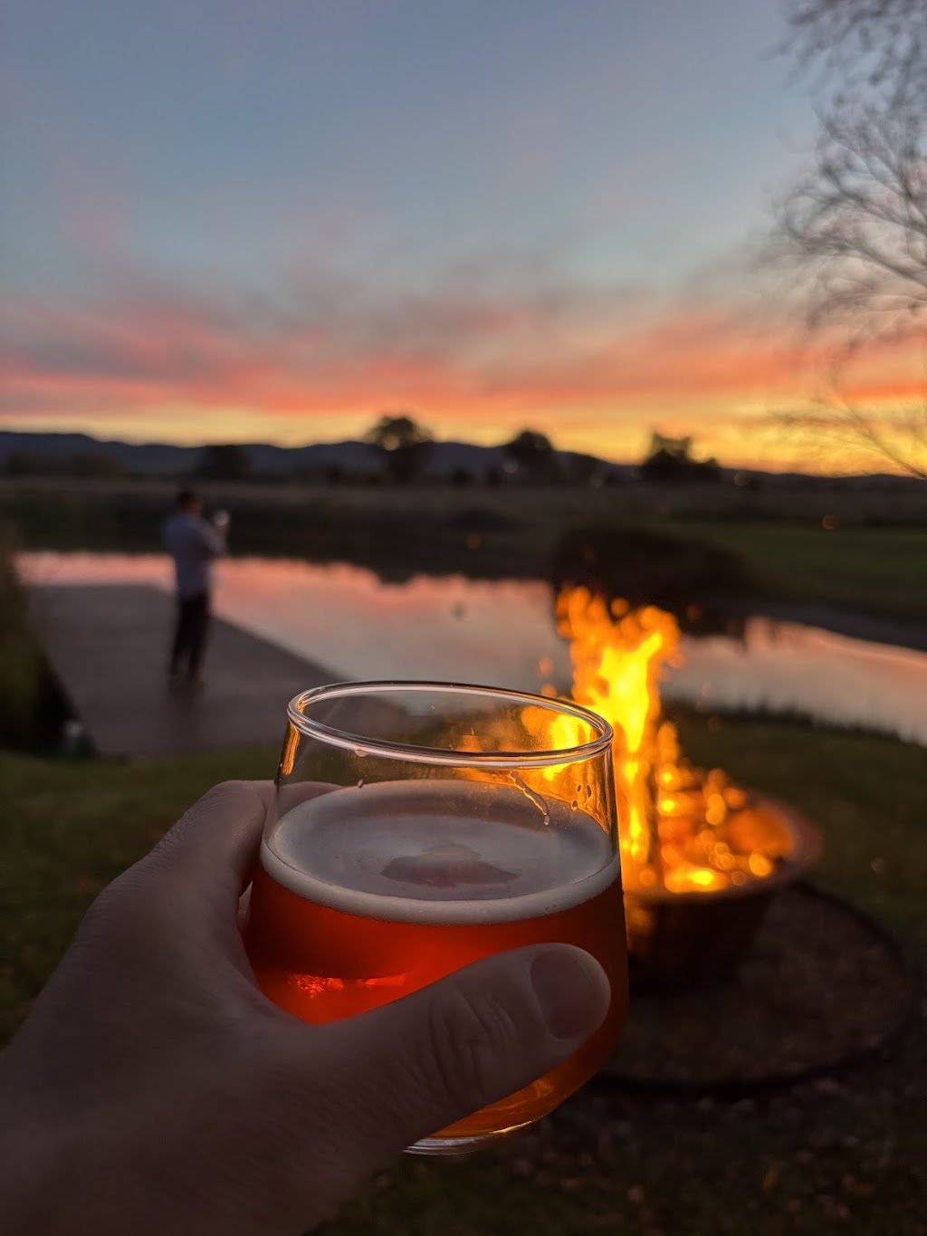 Clover Cellars | 68 Edgell Ln, Buckaroo NSW 2850, Australia | Phone: 0481 948 355