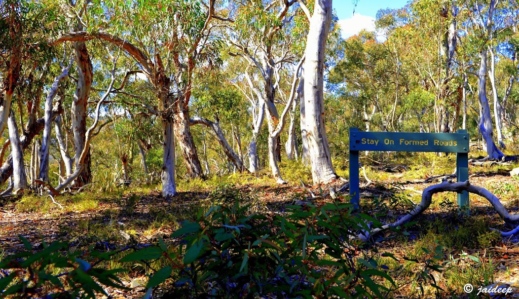 Marrangaroo National Park - Marrangaroo NSW 2790, Australia