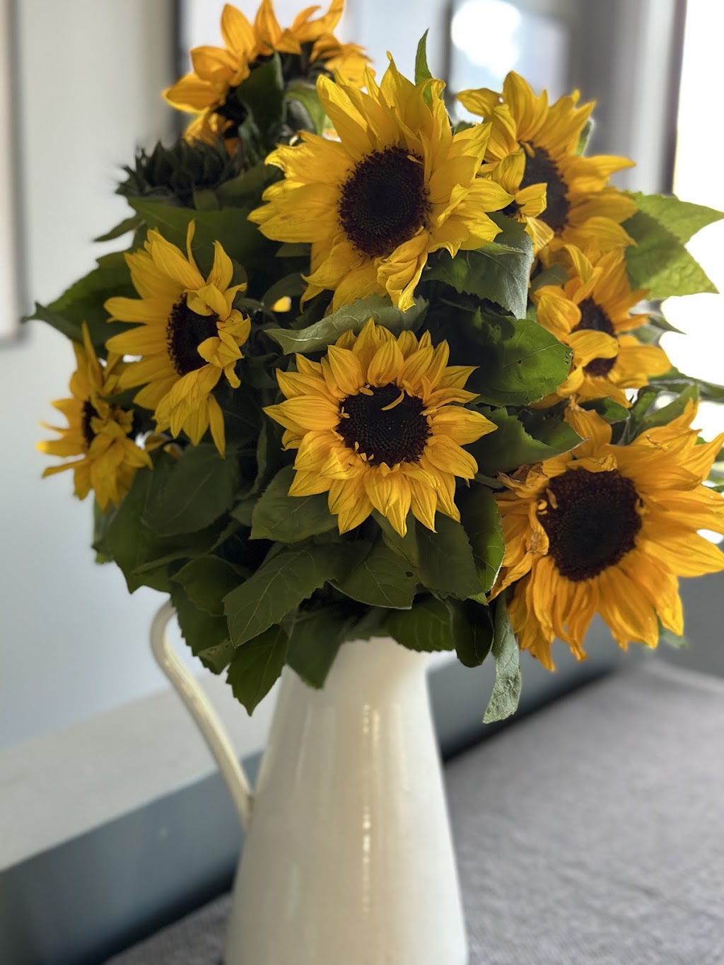 The Bloom Barn Farm | 1154 Peats Ridge Rd, Peats Ridge NSW 2250, Australia | Phone: 0455 246 789