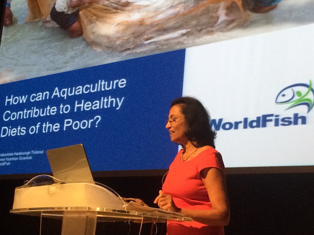 Aquaculture without Frontiers AwF | 33 S Beach Rd, Somers VIC 3927, Australia | Phone: 0412 007 997