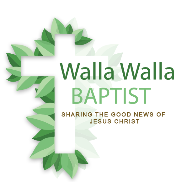 Walla Walla & District Baptist Church | church | 5 Market St, Walla Walla NSW 2659, Australia