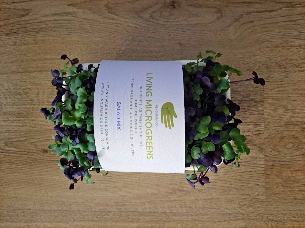 Renourish Microgreens & Sprouts | 99 Aquatic Dr, Cranbourne West VIC 3977, Australia | Phone: 0490 393 533