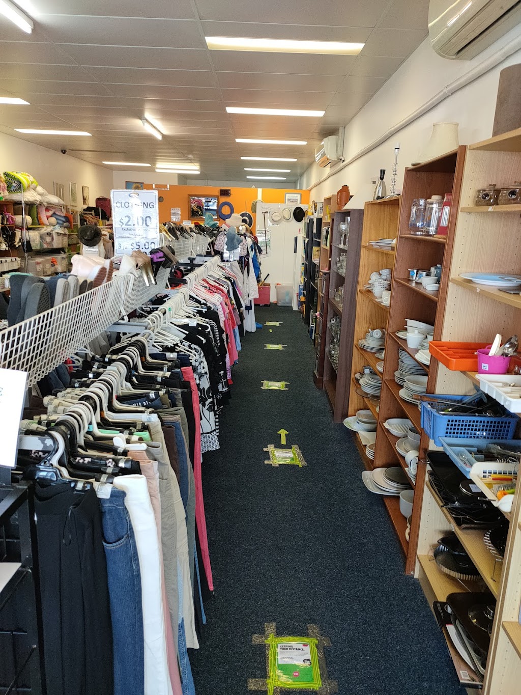 Animal Welfare League Queensland Op Shop | Coombabah Plaza 4, 21 Hansford Rd, Coombabah QLD 4216, Australia | Phone: 0431 834 836