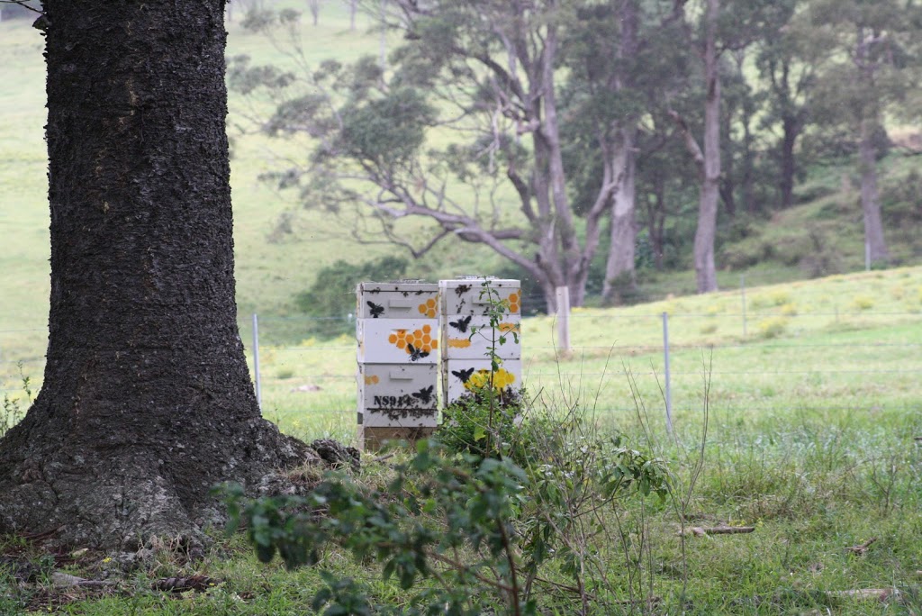 Lakewood Hives |  | 33 Lakewood Blvd, Flinders NSW 2529, Australia | 0448811404 OR +61 448 811 404