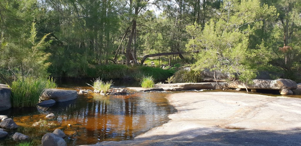 Mann River Nature Reserve | park | Diehard NSW 2370, Australia