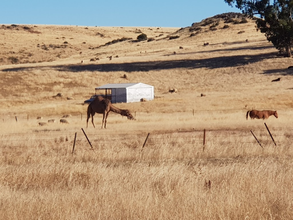 wandarren holiday farm | lodging | 1470 McCallums Creek Road, Mount Glasgow VIC 3371, Australia | 0354632551 OR +61 3 5463 2551