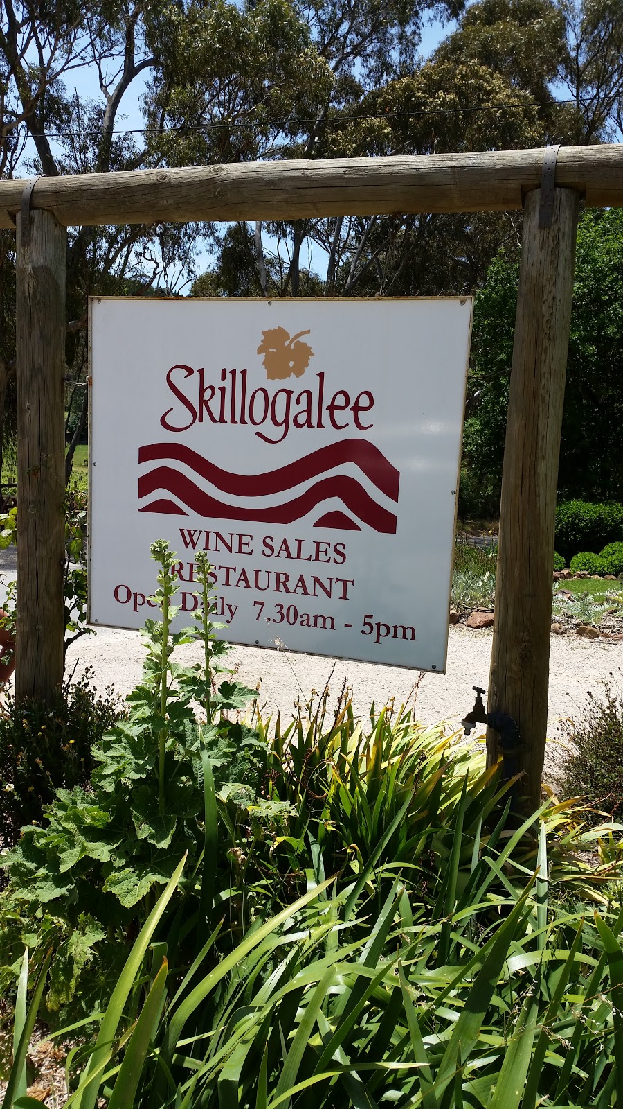 Skillogalee House | 170 Hughes Park Rd, Sevenhill SA 5453, Australia | Phone: (08) 8843 4311