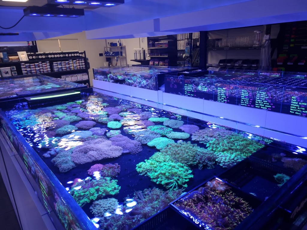 Reeftopia Australia | Unit 7/47 Cook Ct, North Lakes QLD 4509, Australia | Phone: (07) 3132 8055