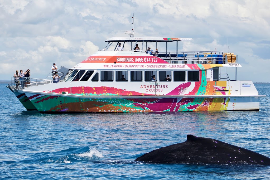 Boat Club Whale Watch | travel agency | Hervey Bay Boat Club, Buccaneer Dr, Urangan QLD 4655, Australia | 0741289643 OR +61 7 4128 9643