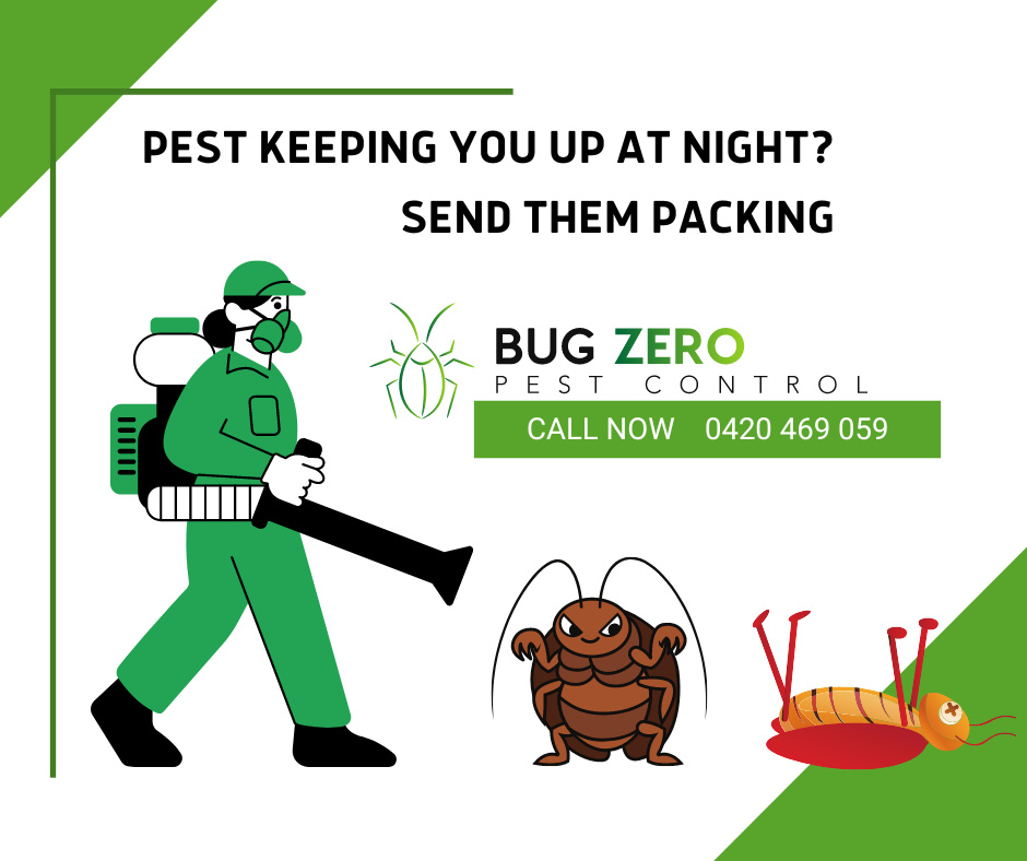 Bug Zero Pest Control | home goods store | 11 Outlook Rise, Mooloolah Valley QLD 4553, Australia | 0420469059 OR +61 420 469 059