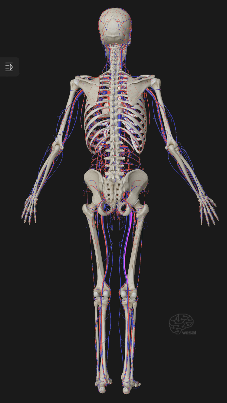 Mobile Massage Daylesford | Mineral Springs Reserve Rd, Hepburn Springs VIC 3460, Australia | Phone: 0493 701 989