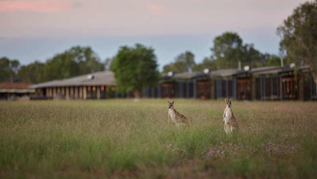 Wildman Wilderness Lodge | Point Stuart Rd, Arnhem NT 0801, Australia | Phone: (08) 8978 8955