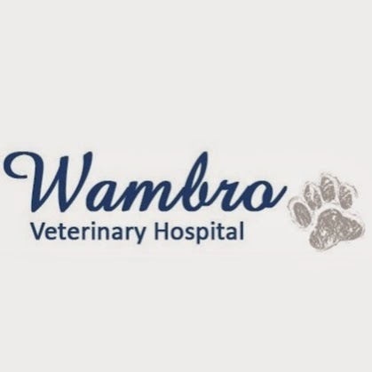 Warnbro Veterinary Hospital | veterinary care | 655 Safety Bay Rd, Warnbro WA 6169, Australia | 0895931797 OR +61 8 9593 1797