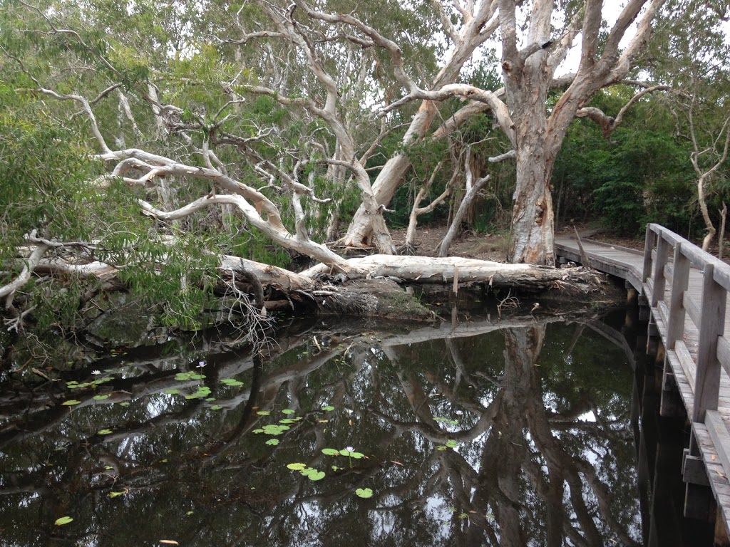 Horseshoe Bay Lagoon Conservation Park | park | Horseshoe Bay QLD 4819, Australia