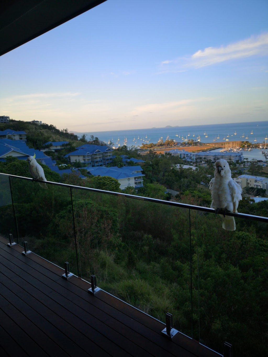 Elementa Whitsundays | lodging | Mount Whitsunday Cts37885, 9 Hermitage Dr, Airlie Beach QLD 4802, Australia