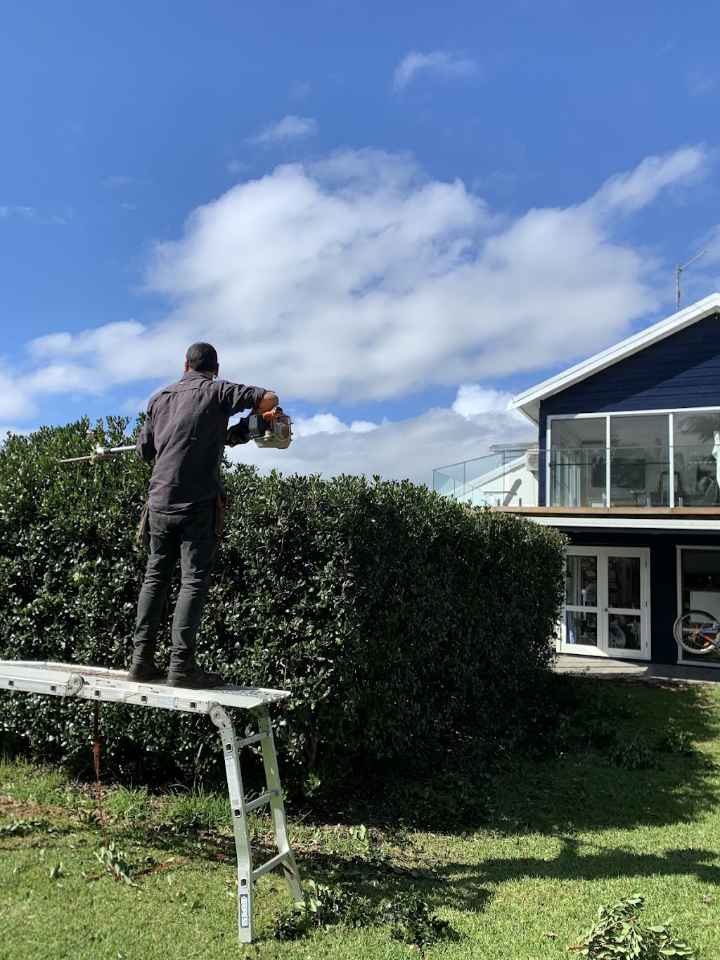 Viriditas Gardens | 1141A Main Arm Rd, Upper Main Arm NSW 2482, Australia | Phone: 0402 089 573