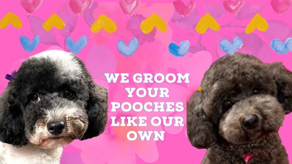 Fluffy Pooch Grooming | 75 Massey St, Smithton TAS 7330, Australia | Phone: 0499 161 792