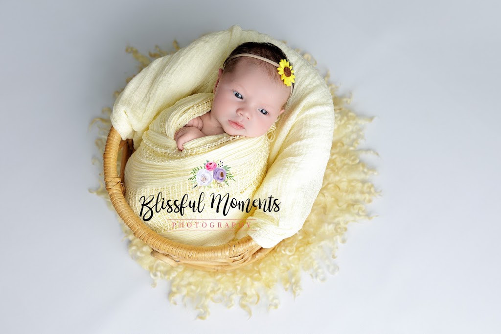 Blissful Moments Photography | 17 Toorak St, Glenella QLD 4740, Australia | Phone: 0403 354 797
