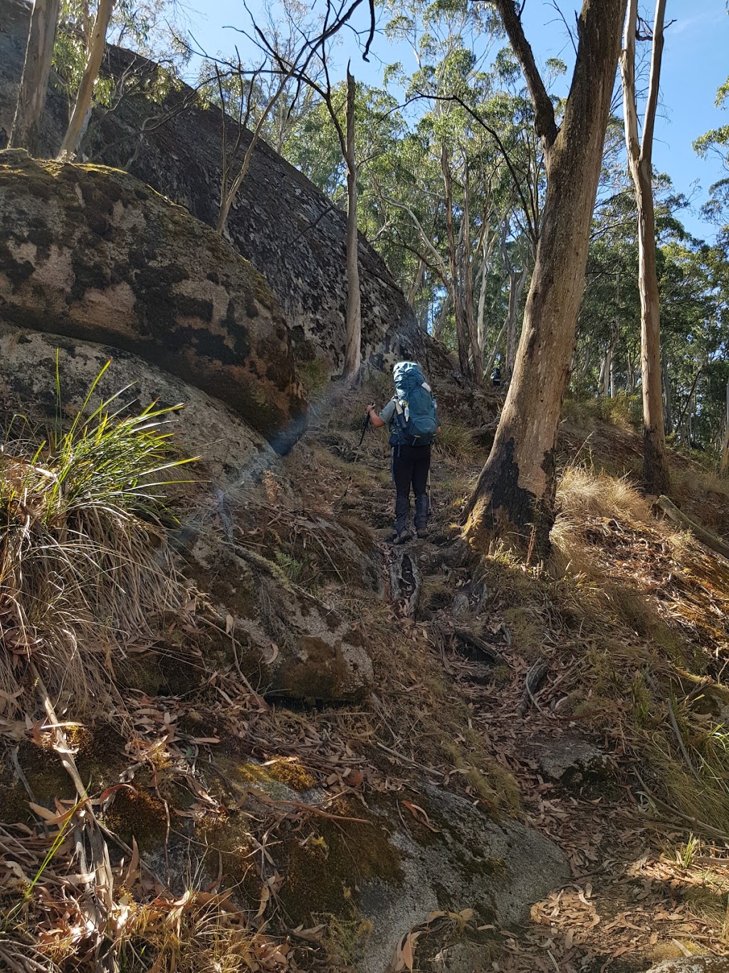 Beeripmo Campsite | Beeripmo Walk, Raglan VIC 3373, Australia