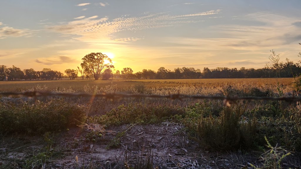 Pianta Road camp grounds | 20 Stokes Ln, Echuca VIC 3564, Australia | Phone: 0468 747 472