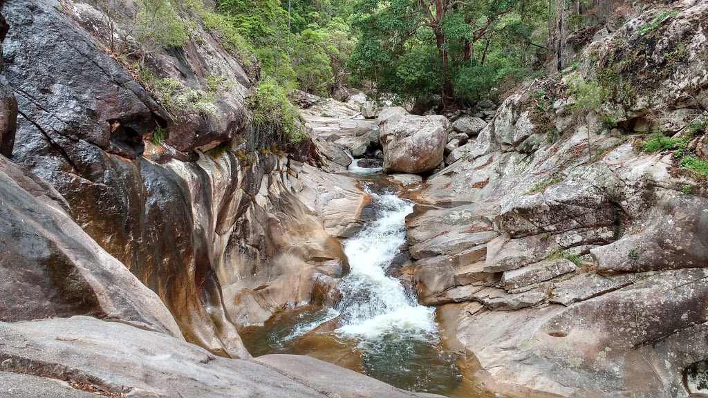 Mount Barney National Park | Burnett Creek QLD 4310, Australia | Phone: 13 74 68