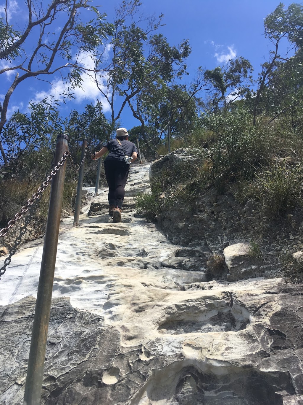 Mt Cooroora Hiking Trail | park | Mt Cooroora Hiking Trail, Pomona QLD 4568, Australia