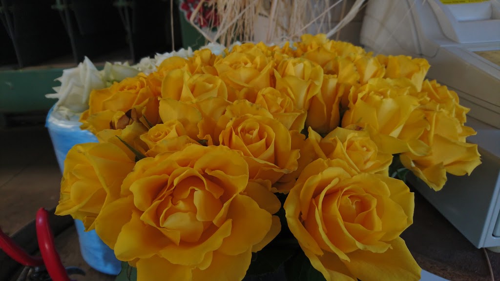 Magic Garden Roses |  | 130 Old Warburton Hwy, Seville East VIC 3139, Australia | 0481542142 OR +61 481 542 142