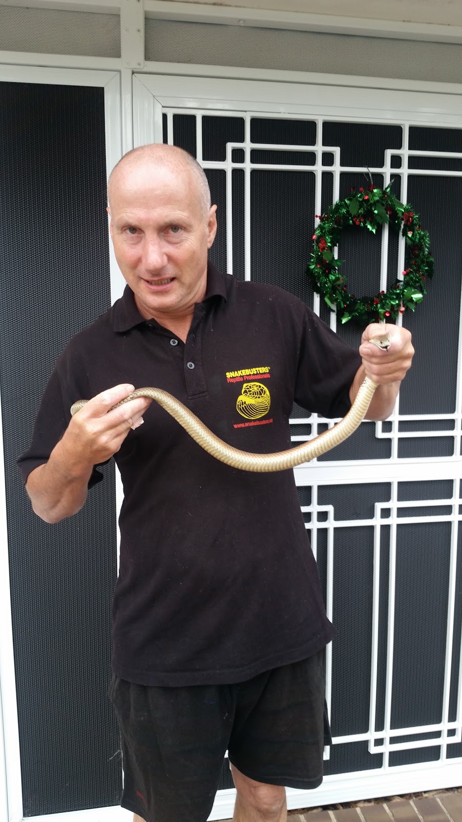 Snake Handling Courses Australia | pet store | Shop 1070/619 Doncaster Rd, Doncaster VIC 3108, Australia | 0398123322 OR +61 3 9812 3322