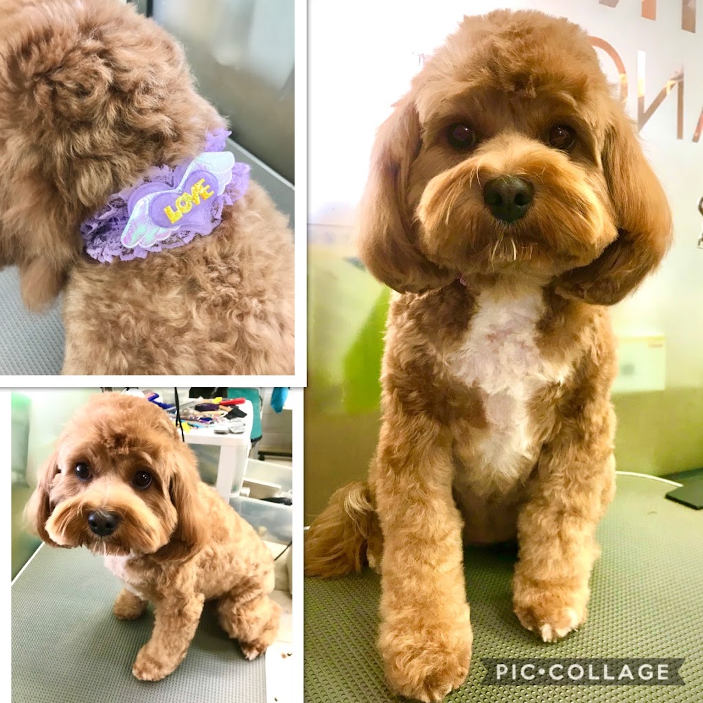 Canine Elegance | 2/110 James St, Templestowe VIC 3106, Australia | Phone: 0412 930 039